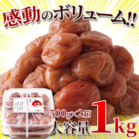 【日替わり数量限定】完熟はちみつ南高梅1kg(500g×2)【先行チケット利用NG】