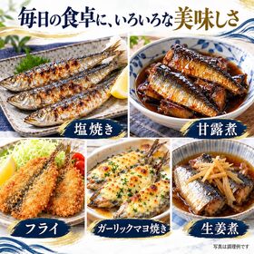 【約1kg/1尾約60g×約16尾】島根県産 真いわし