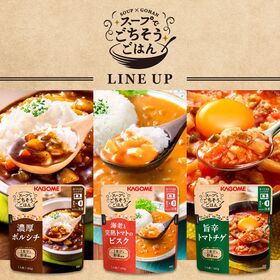 カゴメ スープでごちそうごはん3種×各2袋セット（濃厚ボルシチ・海老トマトビスク・旨辛トマトチゲ）
