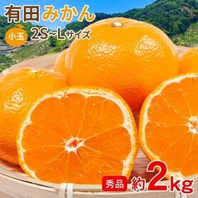 【予約受付】11/5~順次出荷【約2kg/2S~Lサイズ】《秀品》和歌山県産 有田みかん | みかんの産地　有田みかんをお楽しみください♬