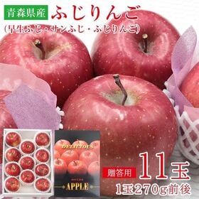ふじりんご【11玉】青森早生ふじ・サンふじ・ふじりんご  (ギフト 贈答用) | 熟度センサー付きカラーセンサー選果のサンふじを贈答用としてお届けさせて頂きます。