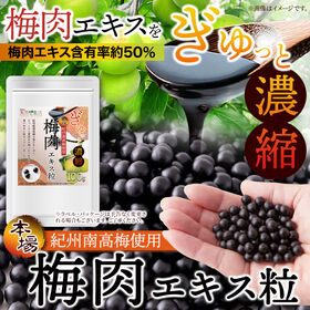 【日替わり数量限定】ぎゅっと濃縮！梅肉エキス粒100g(1袋に約400粒入り/小粒タイプ)【先行チケット利用NG】