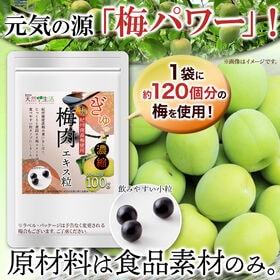 【日替わり数量限定】ぎゅっと濃縮！梅肉エキス粒100g(1袋に約400粒入り/小粒タイプ)【先行チケット利用NG】