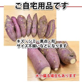 【箱込約5kg】熊本県産 紅はるか(ご家庭用・傷あり)