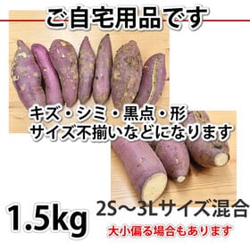 【1.5kg(2S~3L)】熊本県産 紅はるか(ご家庭用・傷あり)