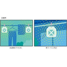 【日替わり数量限定】さらば！！カメムシッ2個セット 【先行チケット利用NG】