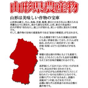 【予約受付】11月1日~順次出荷 【約2kg(5玉入り)】ラフランス4L