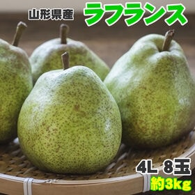 【予約受付】11月1日~順次出荷【約3kg(8玉入り)】ラフランス4L | 西洋梨の女王！とろけるような口当たりと上品な味わい♪