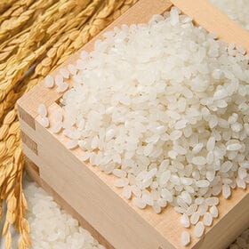 【10kg】北海道産ゆめぴりか  金賞健康米 令和8年産新米