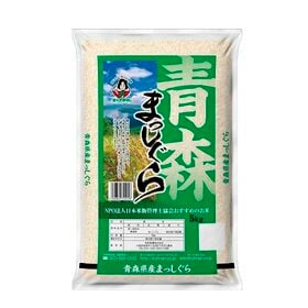 【10kg】青森県産まっしぐら  令和8年産新米