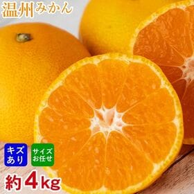 【予約受付】11/1~順次出荷【約4kg】厳選 温州みかん(ご家庭用・傷あり) | 和歌山・愛媛・熊本・長崎・唐津・福岡県産等、みかんの季節便り 温州みかんをお楽しみください