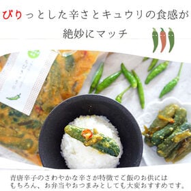 【220g×1袋】青唐辛子みそちびきゅうり