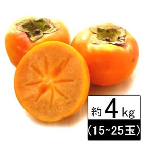 【約4kg】愛媛県産 柿 品種おまかせ(ご家庭用・傷あり) | 「旬」に合わせた品種の柿をお届けいたします！変形＆スレ有