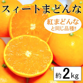 【予約受付】11/25~順次出荷【約2kg】愛媛県産 スイートまどんな(ご家庭用・傷あり)