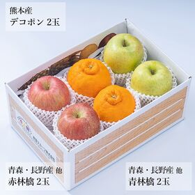 【予約受付】12月中旬~順次出荷旬のフルーツセットF15(赤林檎・青林檎・柑橘)