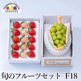 【予約受付】12月中旬~順次出荷 旬のフルーツセットF18 (紅白いちご・シャインマスカット) | 旬のフルーツを1箱に！冬の定番フルーツを詰合せにしました。