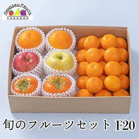 【予約受付】12月中旬~順次出荷 旬のフルーツセットF20 (林檎・柿・柑橘・蜜柑) | 林檎・デコポン・柿・蜜柑！！冬の定番フルーツを詰合せにしました。