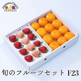 【予約受付】12月中旬~順次出荷 旬のフルーツセットF23(紅白苺・蜜柑) | 旬のフルーツを1箱に！冬の定番フルーツを詰合せにしました。