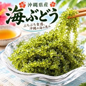 沖縄県産　海ぶどう　2p（50g×2p）
