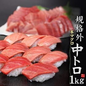 【1kg】規格外 本マグロ中トロ1kg 解凍レシピ付 刺身[[中トロ1kg] | マグロの中でも高級品「本まぐろ」食べ放題！