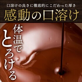 【400g(200g×2)】割れチョコ（ミルク ザッハトルテ）