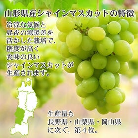 【1kg以上(2-3房)】山形県東根市産 シャインマスカット ご家庭用