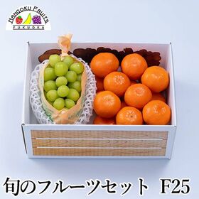 【予約受付】12月上旬~順次出荷 旬のフルーツセットF25（シャインマスカット・紅まる君） | 旬のフルーツを1箱に！冬の定番フルーツを詰合せにしました。