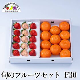 【予約受付】12月中旬~順次出荷 旬のフルーツセットF30(紅白苺・紅まる君) | 旬のフルーツを1箱に！冬の定番フルーツを詰合せにしました。