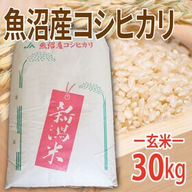 有限会社森米穀店｜【20kg (5kg×4袋)】令和8年産 新米 魚沼十日町産