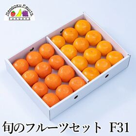 【予約受付】12月上旬~順次出荷 旬のフルーツセットF31(蜜柑・紅まる君) | 旬のフルーツを1箱に！冬の定番フルーツを詰合せにしました。