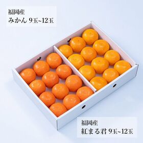 【予約受付】12月上旬~順次出荷 旬のフルーツセットF31(蜜柑・紅まる君)