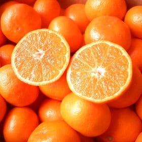 【予約受付】12月上旬~順次出荷【福岡県糸島】2.5kg　紅まる君