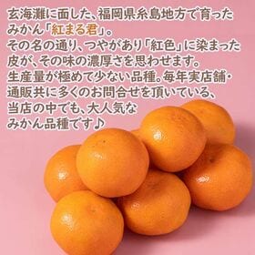 【予約受付】12月上旬~順次出荷【福岡県糸島】5kg　紅まる君