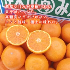 【予約受付】12月中旬~順次出荷【長崎】5kg　伊木力みかん
