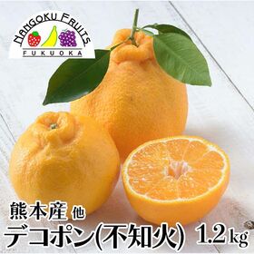 【予約受付】12月中旬~順次出荷【熊本他】1.2kg　デコポン(不知火) | かわいいユニークな形、柑橘独特の爽やかな香り、この時期おススメの柑橘です！