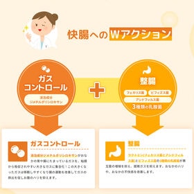 【240包】ラッパ整腸薬BF 24包×10個セット［指定医薬部外品］大幸薬品