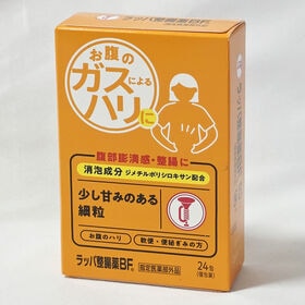【240包】ラッパ整腸薬BF 24包×10個セット［指定医薬部外品］大幸薬品