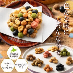 【ミニパックタイプ 10袋】十豆十色 豆菓子 10種類の味が楽しめる ミックス豆菓子