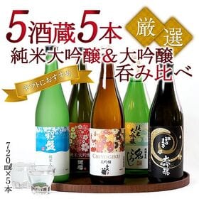 【日替わり数量限定】【720ml×5本】5蔵5本 純米大吟醸・大吟醸［JS9］【先行チケット利用NG】
