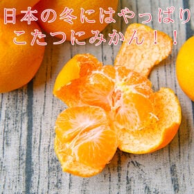 【計14kg/7kg(3S~3Lサイズ込)×2箱】吉田みかん ※ご家庭用・多少の枝傷・葉傷・黒点有り