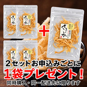 【2袋】バター醤油さきいか☆老舗自慢の味！風味豊かなソフトさきいか