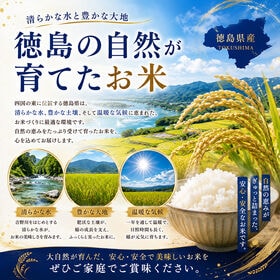 【5kg】新米 令和8年産  徳島県産ミルキークイーン 精米 国産米