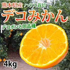 【予約受付】12/21~順次出荷【4kg】熊本県産 ハウスデコみかん（ご家庭用、傷あり）