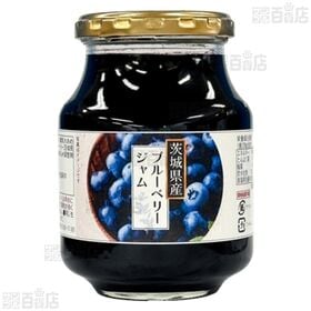 【2個】茨城県産ブルーベリージャム 465g [抽選サンプル]■