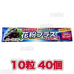 花粉プラスST10粒