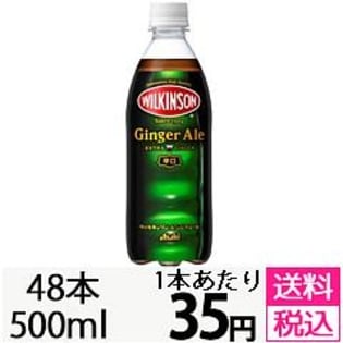 【48本セット】ウィルキンソン ジンジャエールPET500ml