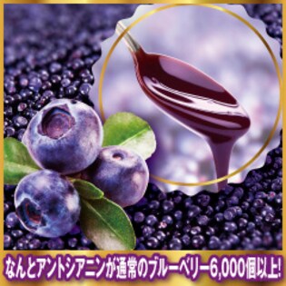 スッキリ爽快 純度100 スーパーブルーベリー50万mg を税込 送料込でお試し サンプル百貨店 リオーラ