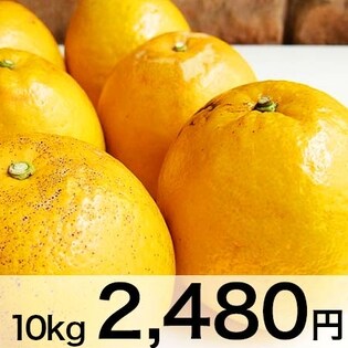 宇和ゴールド（河内晩柑）10kg