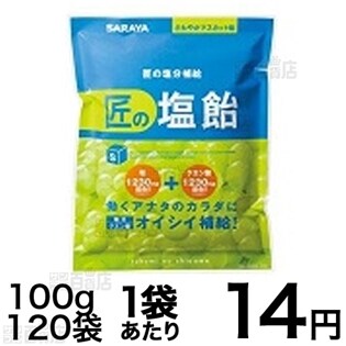 【120袋セット】匠の塩飴 マスカット味