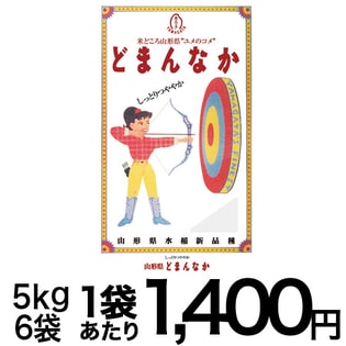 どまんなか米 5kg*5袋 どまんなか 米